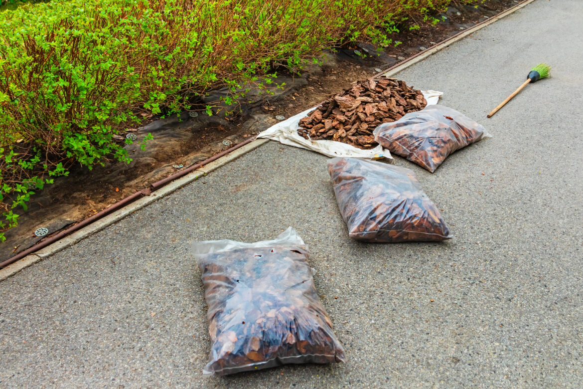 WAAACH5BAEAAAAALAAAAAABAAEAAAICRAEAOw==