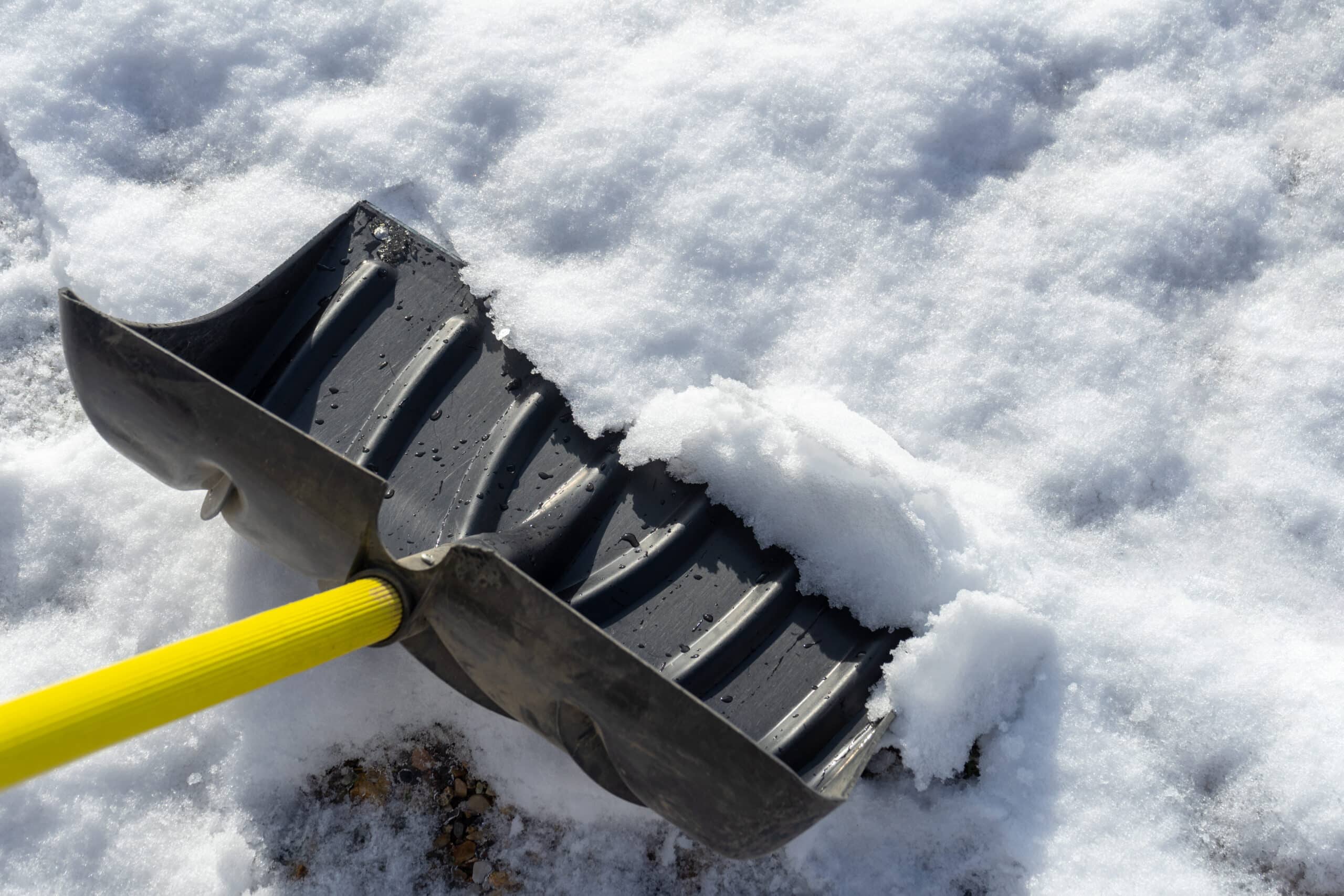 Snow Rider Github: 5 Mistakes Killing Your Project (And How To Fix Them) - zd67637