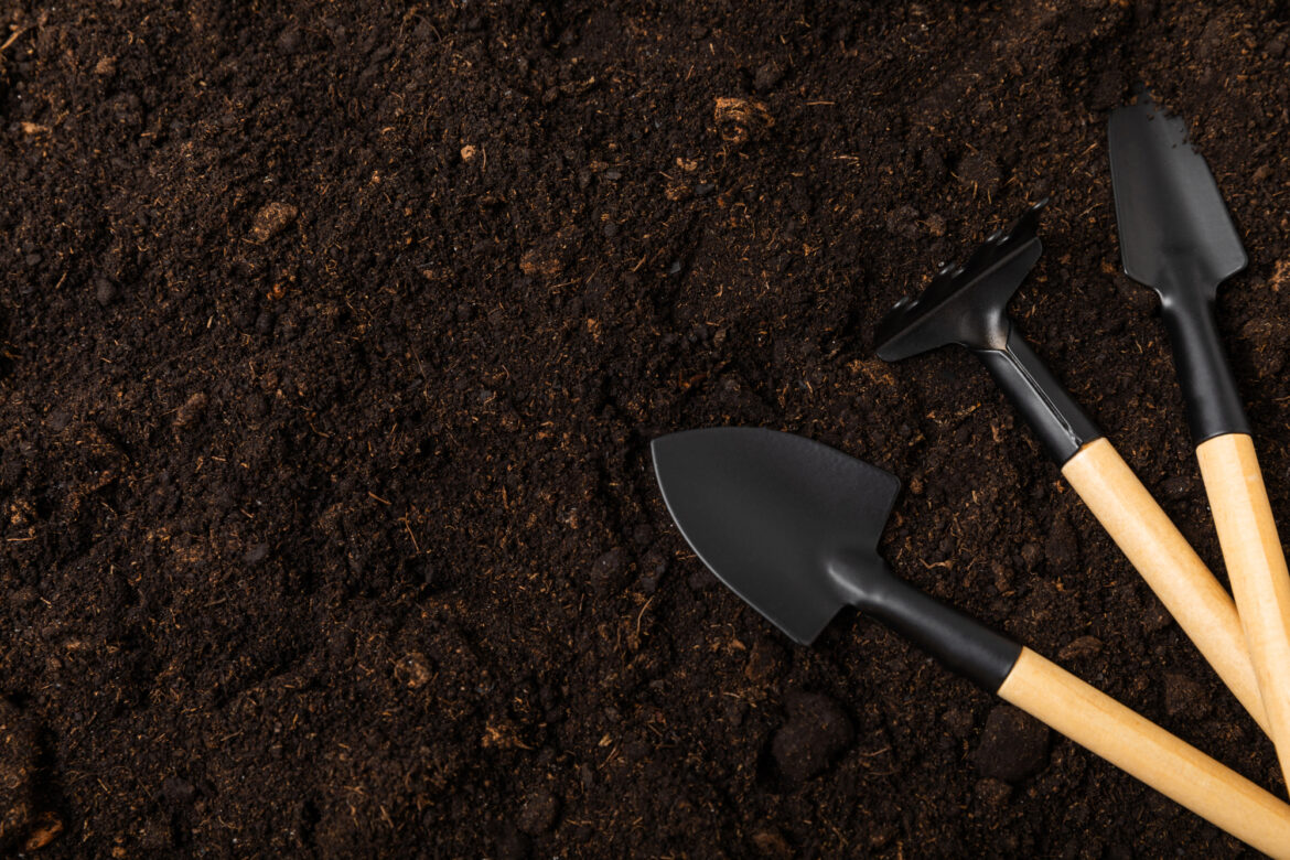 WAAACH5BAEAAAAALAAAAAABAAEAAAICRAEAOw==