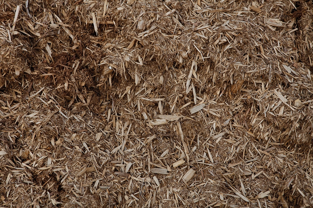 WAAACH5BAEAAAAALAAAAAABAAEAAAICRAEAOw==