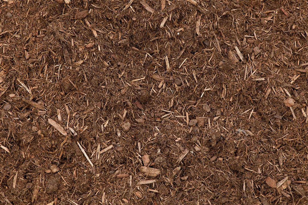 WAAACH5BAEAAAAALAAAAAABAAEAAAICRAEAOw==