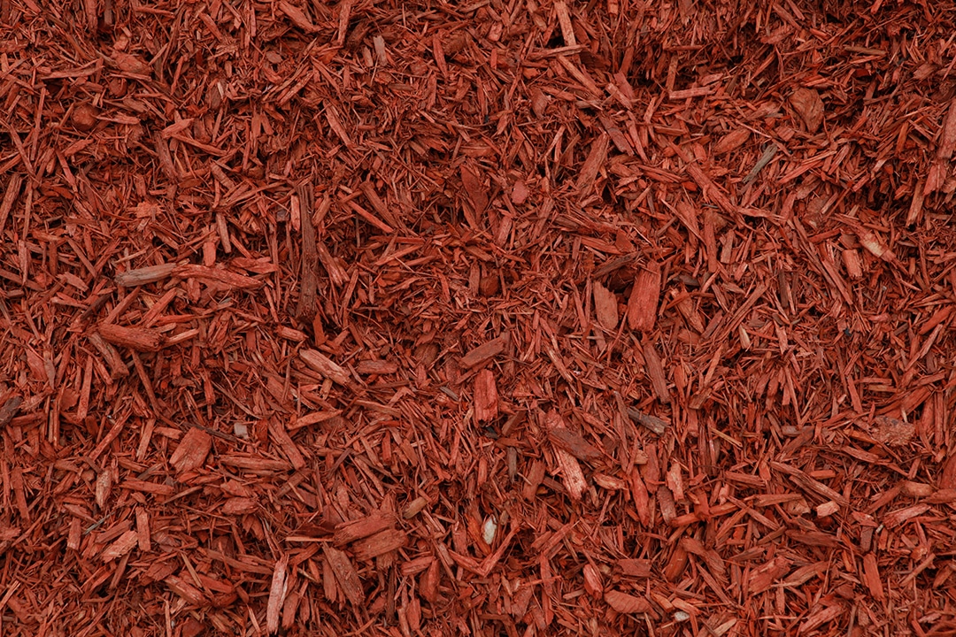 WAAACH5BAEAAAAALAAAAAABAAEAAAICRAEAOw==