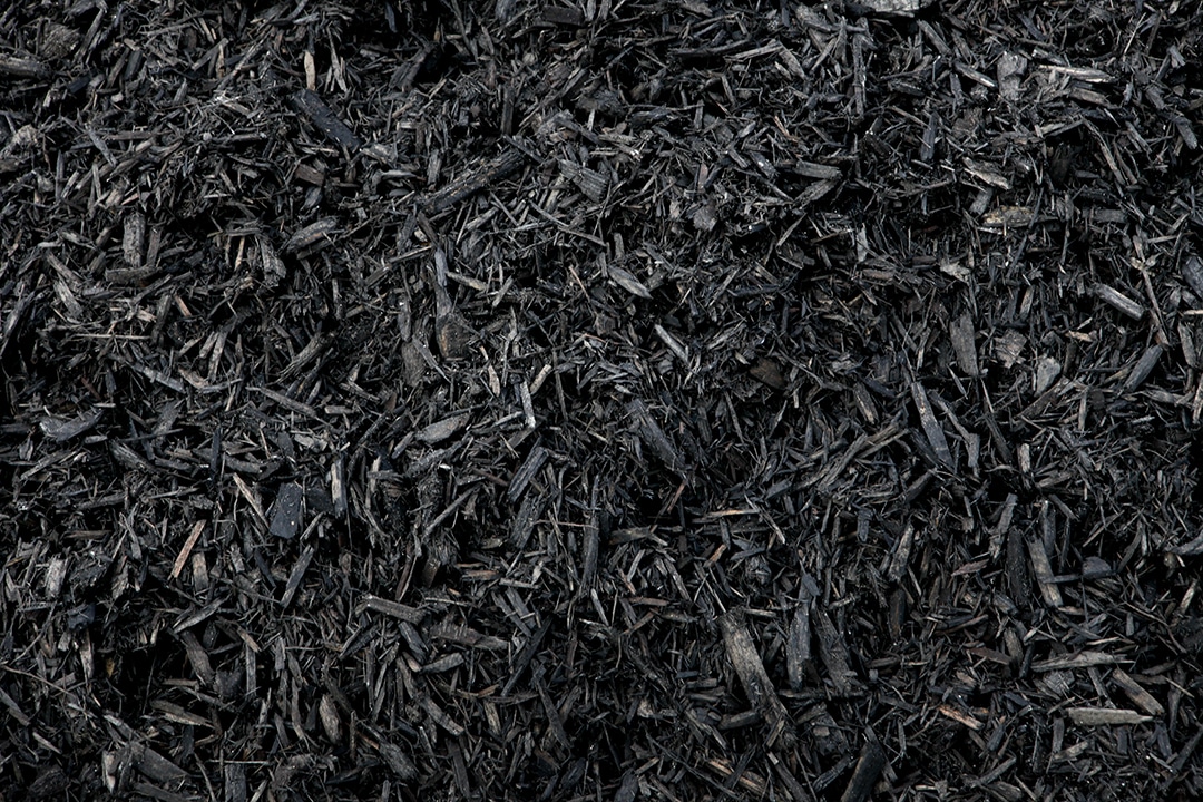 WAAACH5BAEAAAAALAAAAAABAAEAAAICRAEAOw==