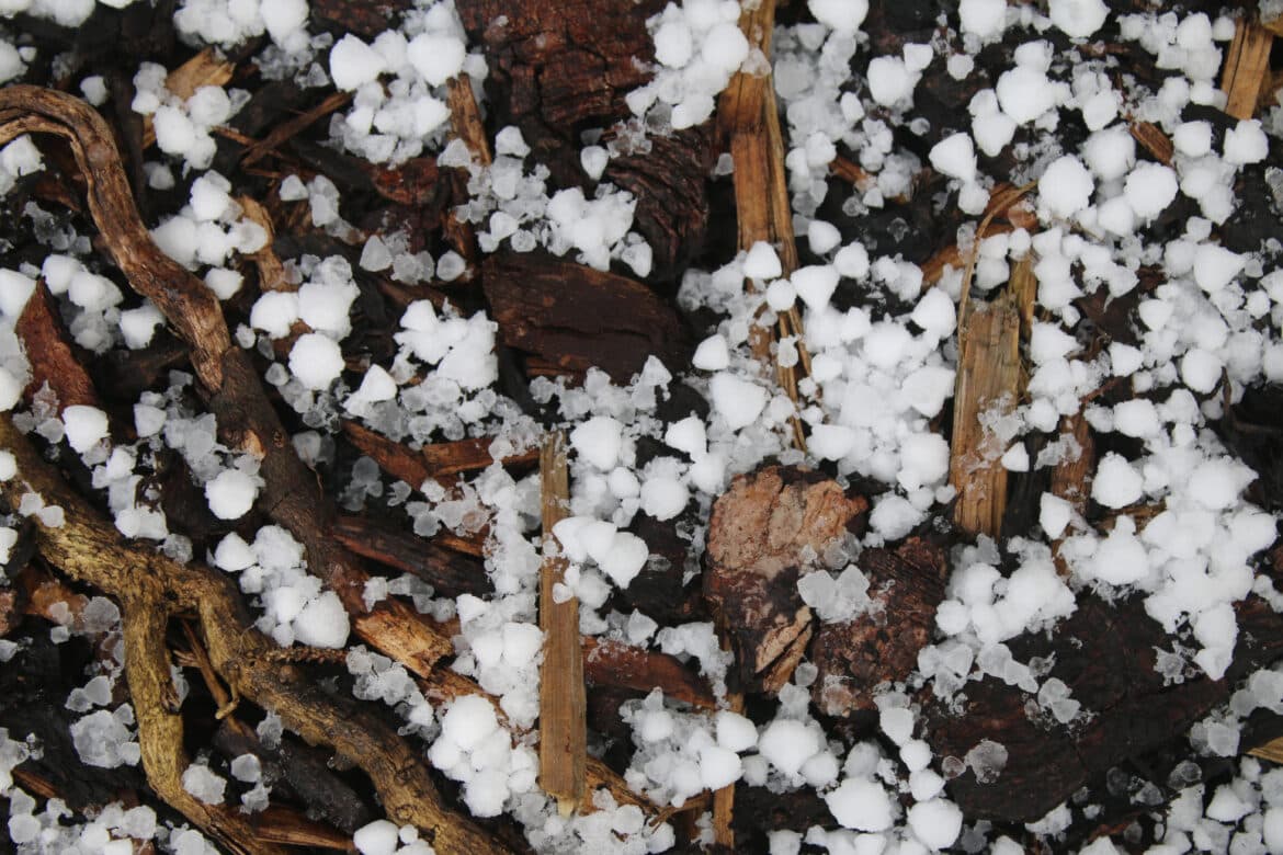 WAAACH5BAEAAAAALAAAAAABAAEAAAICRAEAOw==