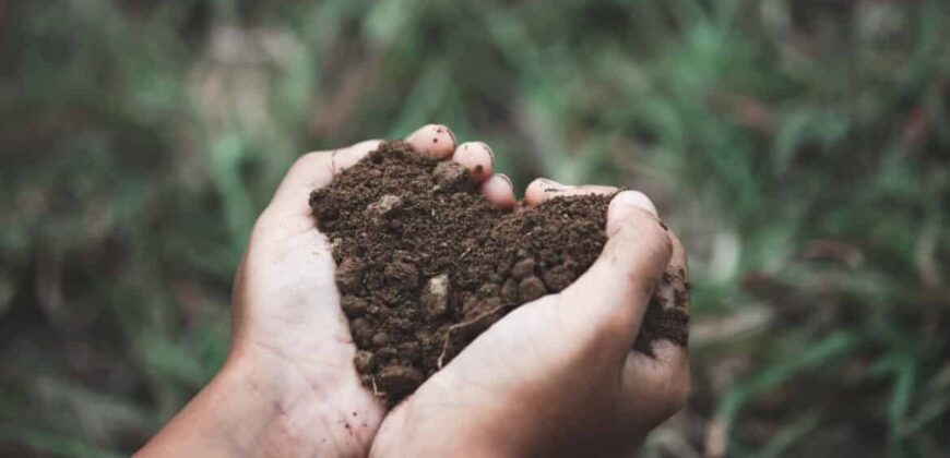 Landscaping soil supplies