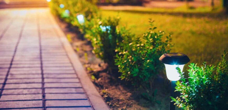 Three summer landscaping mistakes