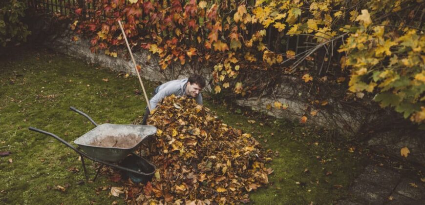 Are you ready for fall