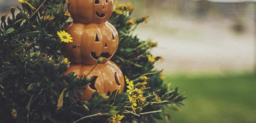 Fall curb appeal ideas