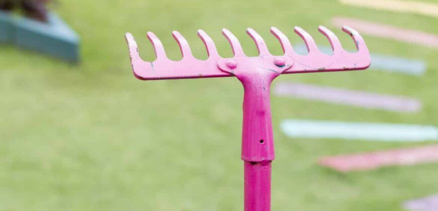 How to prepare your landscape for fall
