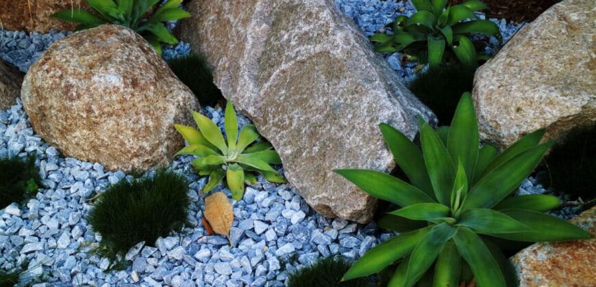 Rock garden ideas for residential and commercial properties
