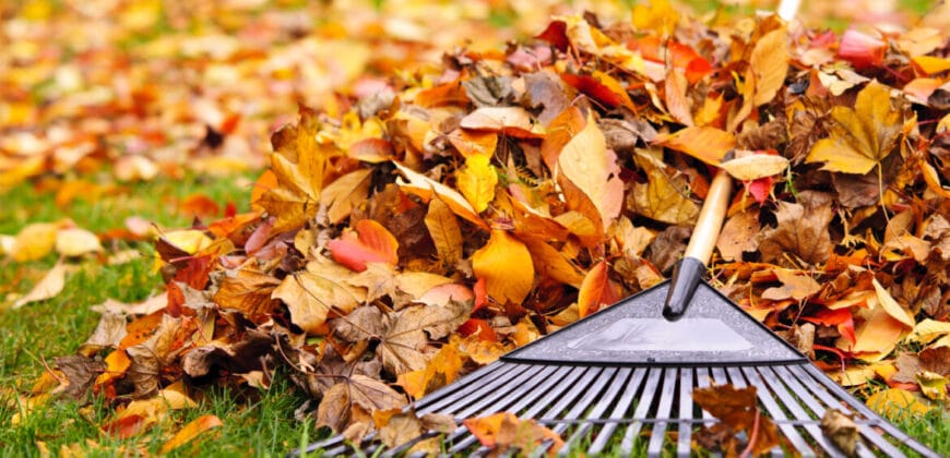 Get ready for fall with these top landscaping supplies